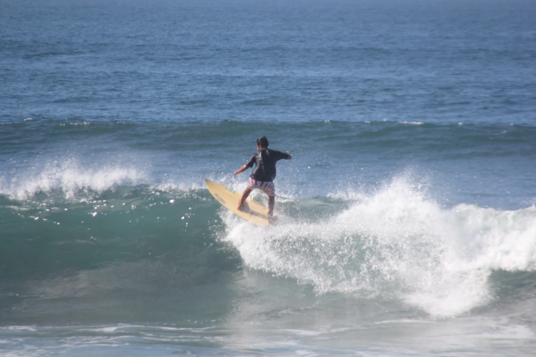 Tamarindo